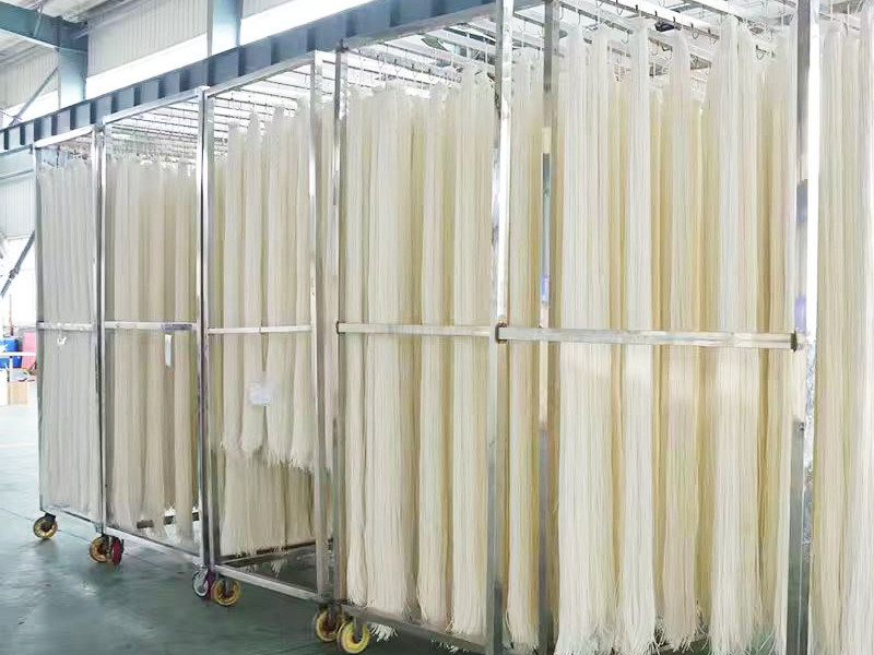 MBR curtain membrane